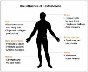 testosterone deficiency identifying levels