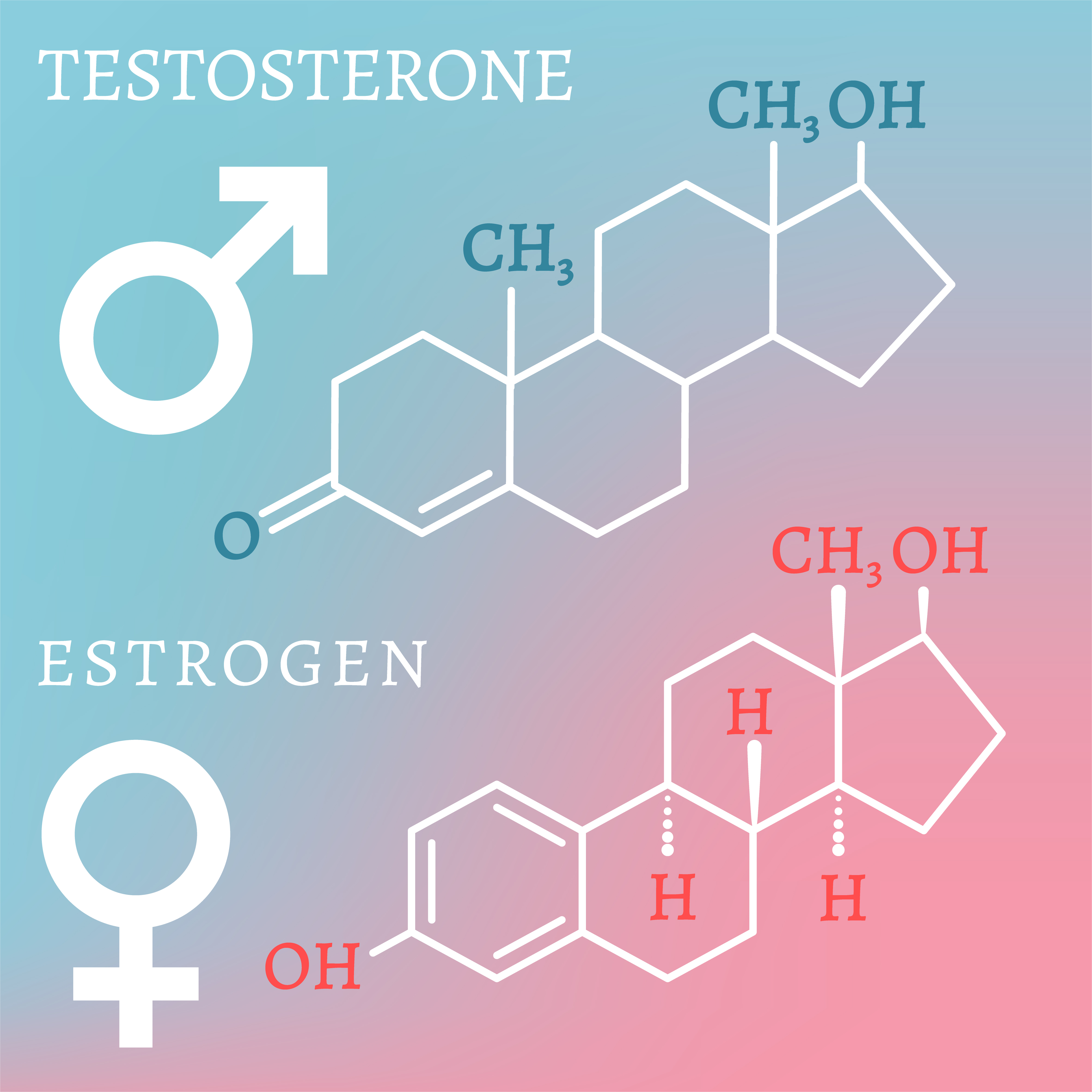 Тестостерон и эстроген формула
