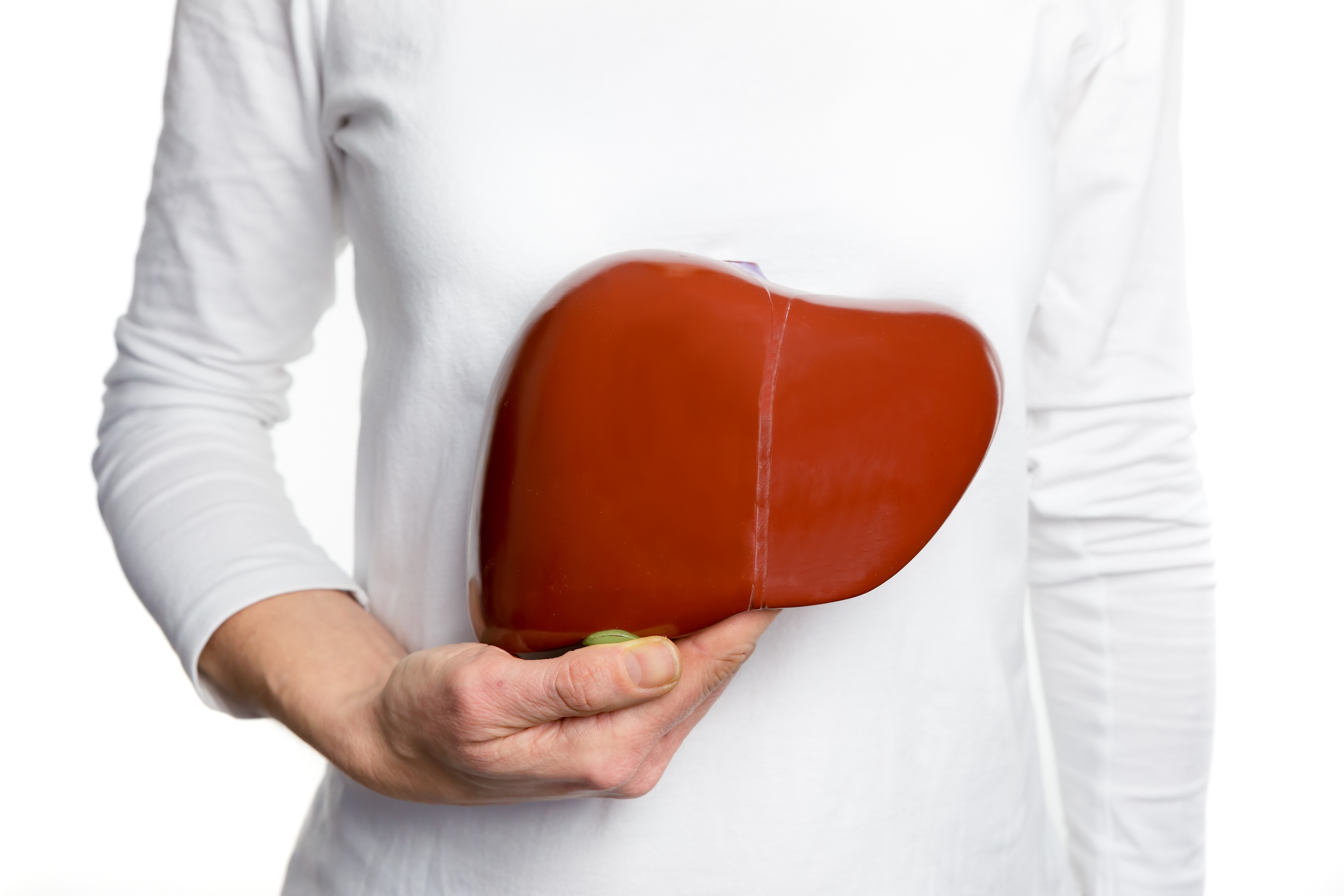 How The Liver Influences Weight Gain And Affects Hormone Balance